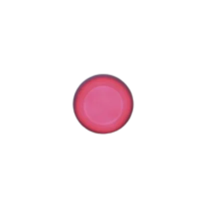2026_06_15_529183