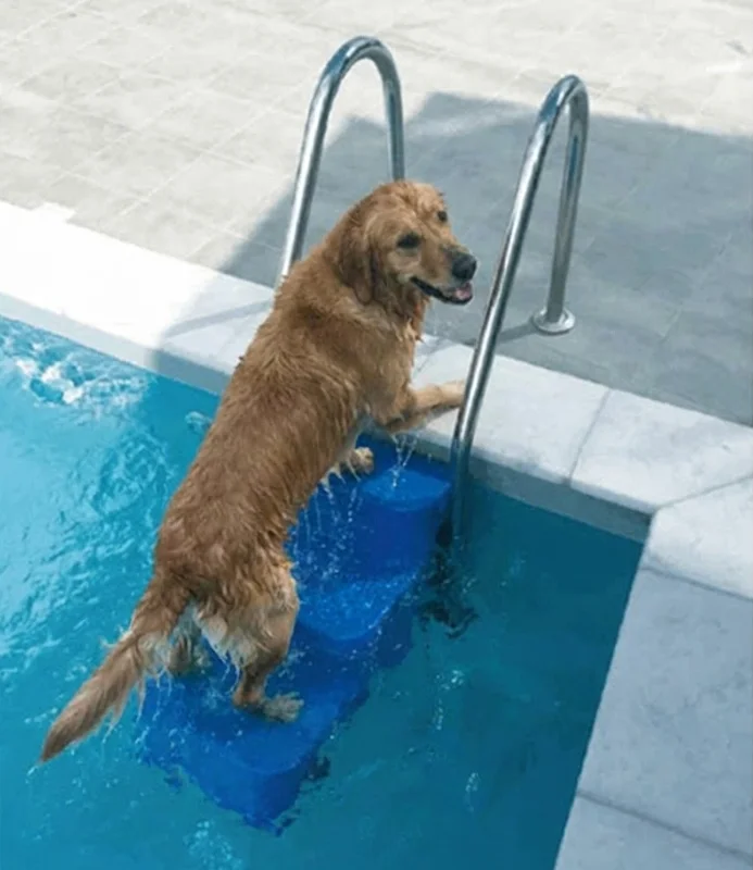 piscines-online20260615165340537457